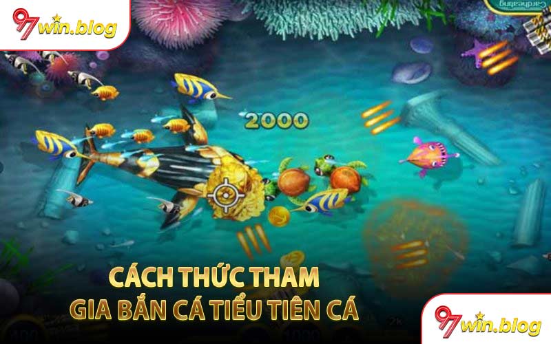 Cách Thức Tham Gia Bắn Cá Tiểu Tiên Cá 